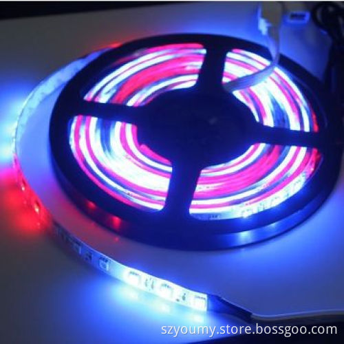 Flash Dream Running Horse Race LED Strip, SMD 5050, 54 LEDs/m, Water-resistant
